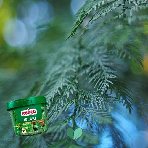 NAWÓZ DO IGLAKA 100DNI 5KG SUBSTRAL na Arena.pl