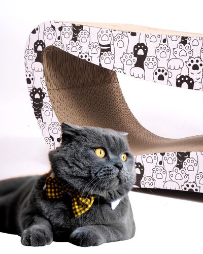 drapak dla kota  tekturowy duży legowisko do drapania leżak kartonowy na Arena.pl