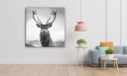 OBRAZ NA PŁÓTNIE 013 Czarno-biały jeleń 40x40cm na Arena.pl
