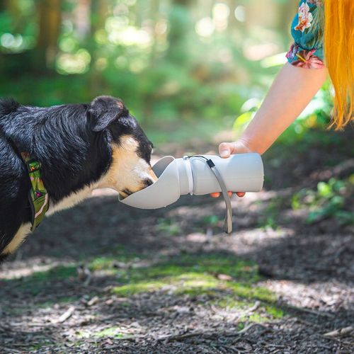 Butelka na Wodę dla Psa Bidon z Miską Poidło Turystyczne Składane na Arena.pl