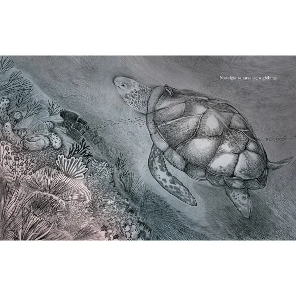 Co Uczucia Robią Nocą? zdjęcie 4