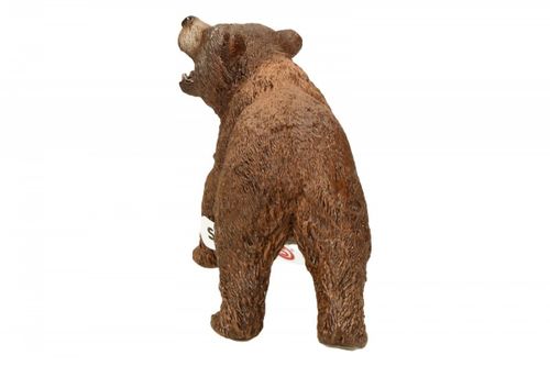 Niedzwiedź Grizzly na Arena.pl
