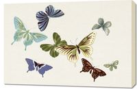 Obraz 90x60cm Butterfly 10, Sekka Japoński Vintage do Salonu