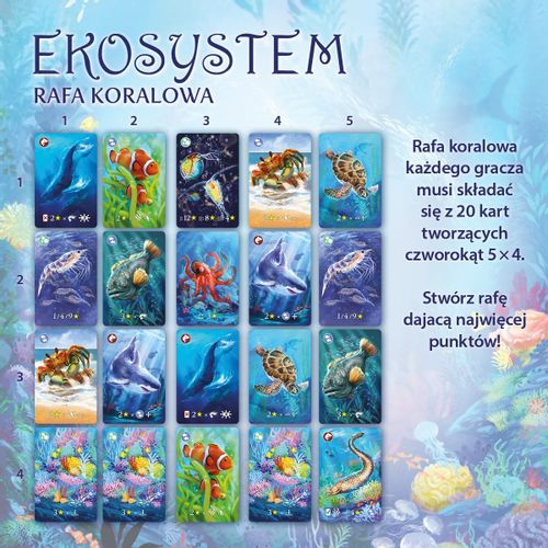 Gra Eko system 2 Rafa koralowa na Arena.pl