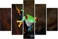 100CM 150CM OBRAZ 5 ELEM CHWYTNICA CZERWONOOKA ŚCIENNY