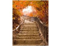 40X50CM JESIENNY SPACER OBRAZ