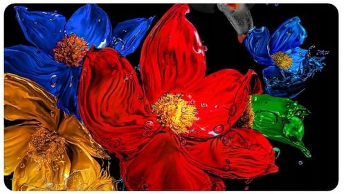 TCL Telewizor LED 55 cali 55Q6C na Arena.pl