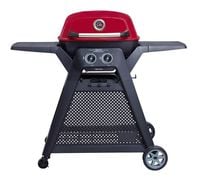 grill gazowy z 2 palnikami grilli 230665