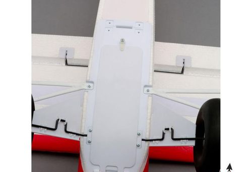 Sport Cub BNF na Arena.pl