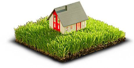 Skuteczna SIATKA NA KRETY 1,5x100m 150m2 10x10 na Arena.pl