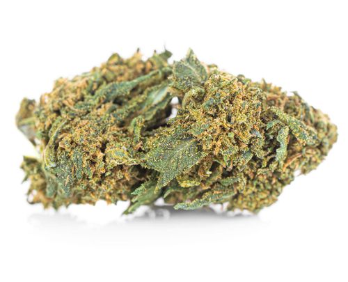 Susz konopny CBD | JACK HERER | 1 g na Arena.pl