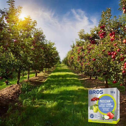 bros - miedzian 50wp 100g na Arena.pl