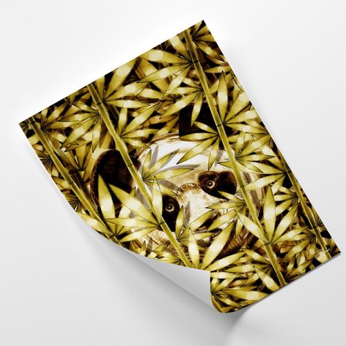 Plakat, Ukryta Panda 50x70 na Arena.pl