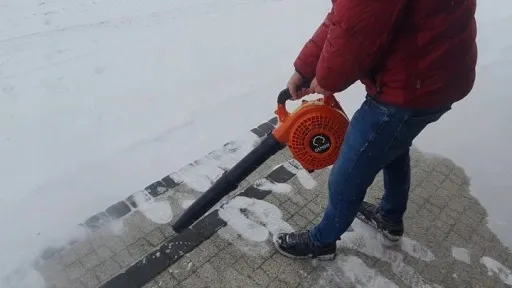 Dmuchawa do liści spalinowa odkurzacz liści DEMON zdjęcie 2