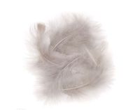 PIÓRA INDYCZE 15CM 5 SZT POPIEL CEPI-046 DP CRAFT