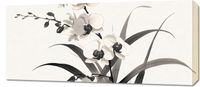Obraz 90x40cm Orchidea