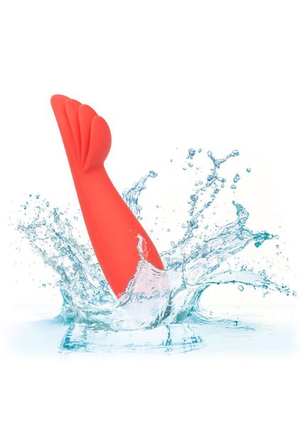 Red Hot Blaze Red zdjęcie 4