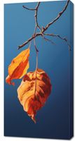 Obraz 50x100cm Ostatni Oddech Lata
