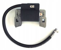 CEWKA ISKROWNIK B&S BRIGGS ( 395491 , 397358 , 555075 , 697037 , PT10998 )