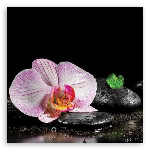 Emaga Obraz na płótnie, Kwitnąca orchidea zen - 60x60 na Arena.pl