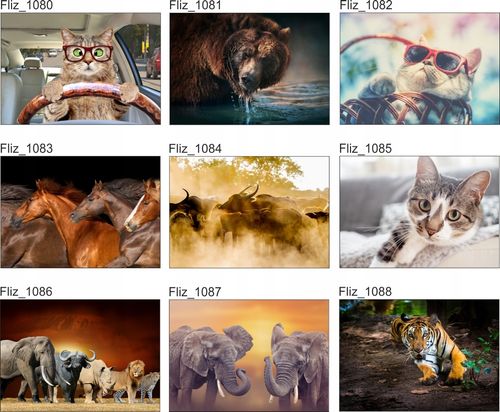 FOTOTAPETA liście tygrys dżungla zwierzęta 350x245 na Arena.pl