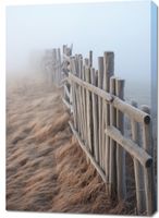 Obraz 70x100cm Mgła nad Wydmami