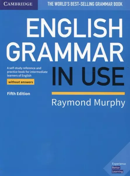 English Grammar in Use. Book without Answers zdjęcie 1