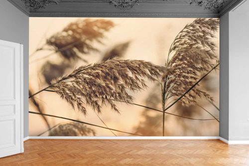 Fototapeta DMUCHAWCE LIŚCIE DRZEW 3D 130x80 na Arena.pl