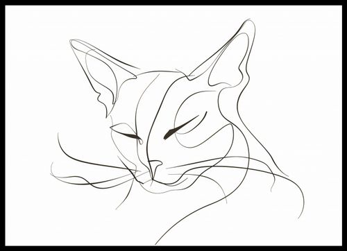 Plakat 70x50cm Linijny Kot na Arena.pl