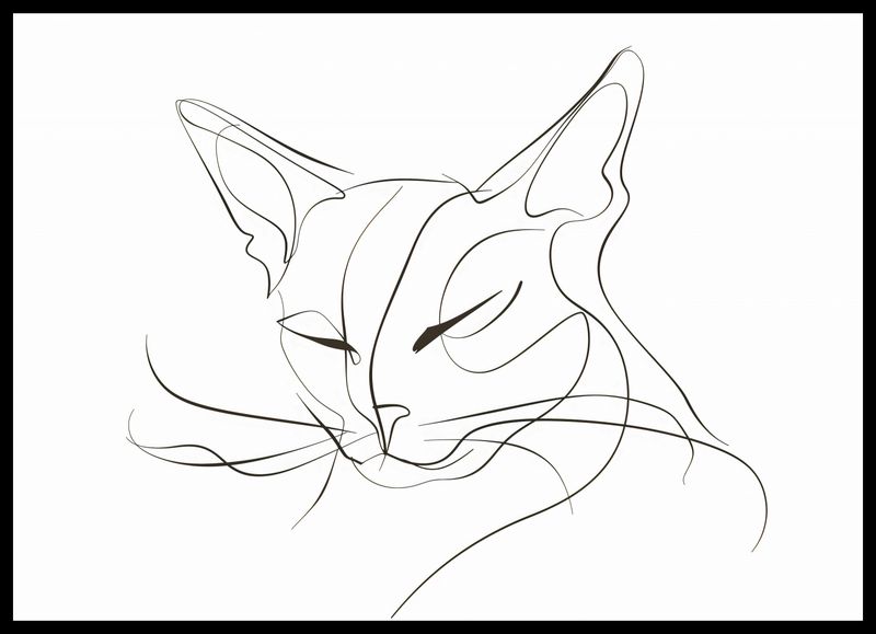 Plakat 70x50cm Linijny Kot zdjęcie 2