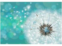 100 70CM OBRAZ PŁÓTNO PUSZYSTY DMUCHAWIEC PŁÓTNO RAMA