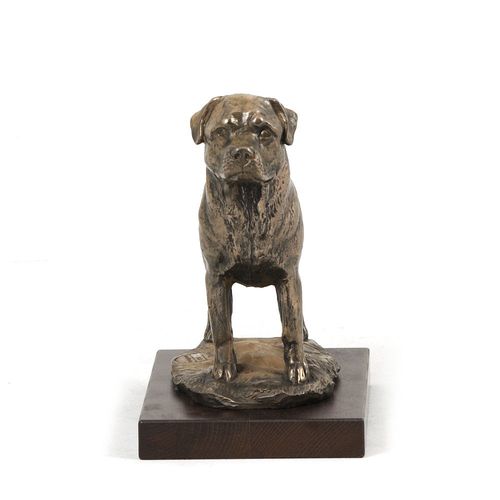 Rottweiler - figurka - 616 na Arena.pl