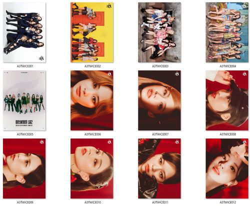 Plakat A3 Twice DO WYBORU na Arena.pl