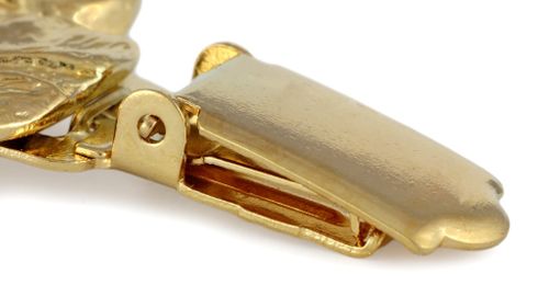 Dog Kanaryjski - klips - 1043 na Arena.pl