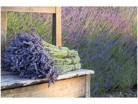 product-compare-58694499