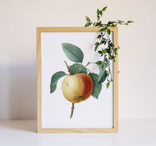 Plakat cyfrowy do wydruku retro jabłko na Arena.pl