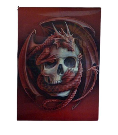 Obraz 3D Trójwymiarowy z Czachą bez Ramki Plakat Lentikularny na Arena.pl