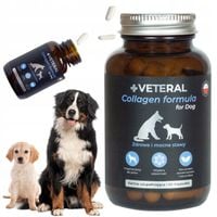 VETERAL KOLAGEN dla PSA TABLETKI Collagen Formula Dysplazja ZDROWE STAWY