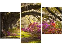 product-compare-58699499