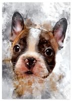 Plakat buldog pies abstrakcja 30x40 cm