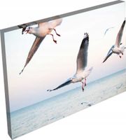 OBRAZ na płótnie zwierzęta ptaki pelikany 120x80