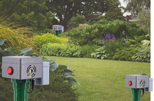 ODSTRASZACZ KUN MYSZY SZCZURÓW GRYZONI NA BATERIE WIBRACJE DO OGRODU na Arena.pl