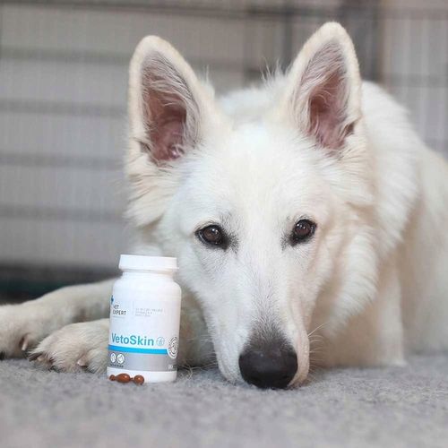 VET EXPERT VETOSKIN - preparat na skórę i sierść dla psów i kotów 90szt na Arena.pl