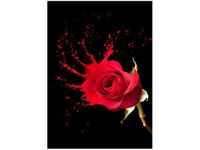 50X70CM RÓŻANY PLUSK OBRAZ PION ŚCIAN