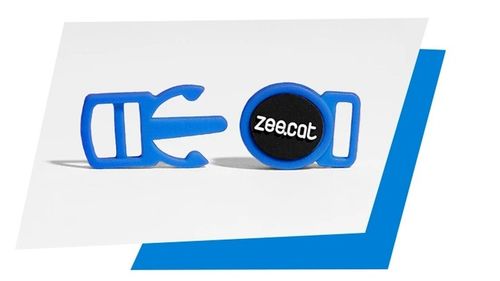 Zee Dog obroża dla kota Ella na Arena.pl