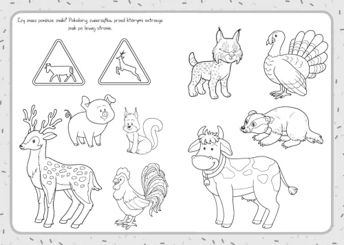 Moje Znaki Drogowe na Arena.pl