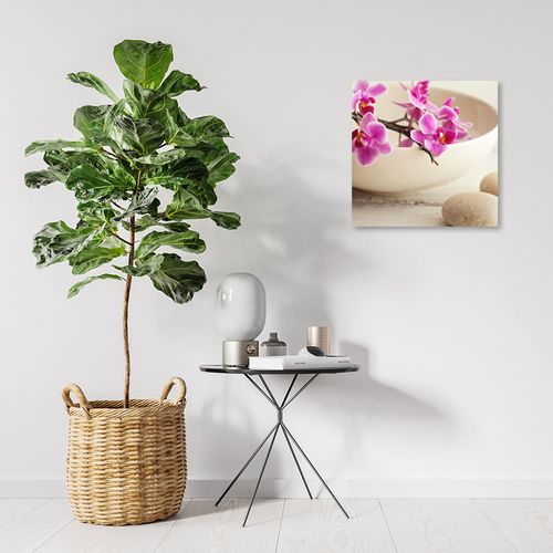 Obraz na płótnie - Canvas, Różowe orchidee 50x50 na Arena.pl
