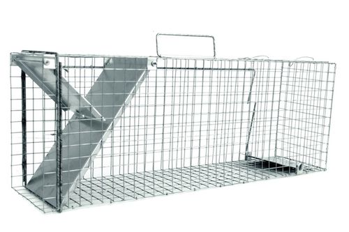 żywołapka pułapka na koty kuny bardzo szybka na Arena.pl