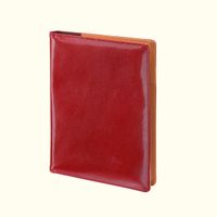 planer organizer terminarz roczny a5 czerwony z wymiennym wkładem