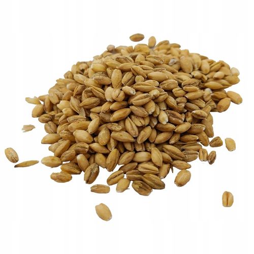 Kasza PĘCZAK JĘCZMIENNA 25kg worek na Arena.pl